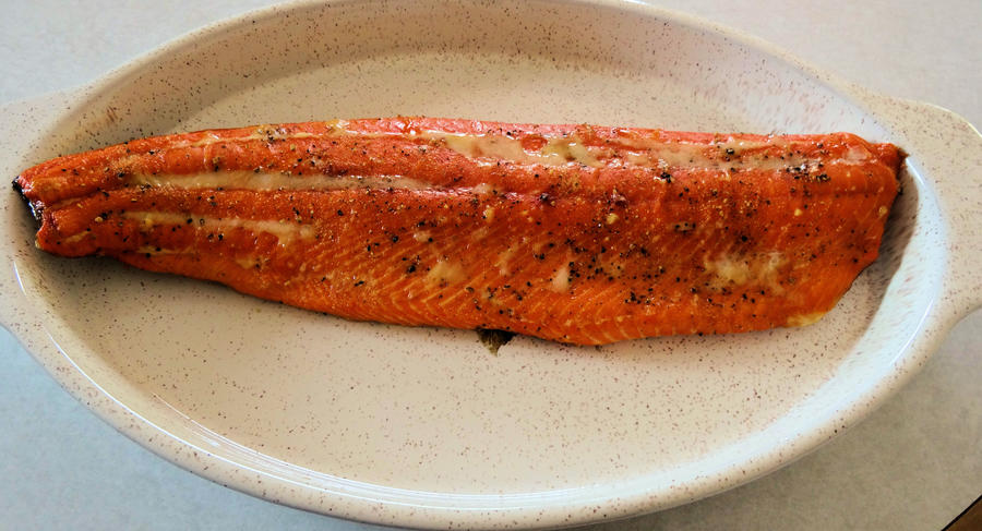 Salmon4.jpg