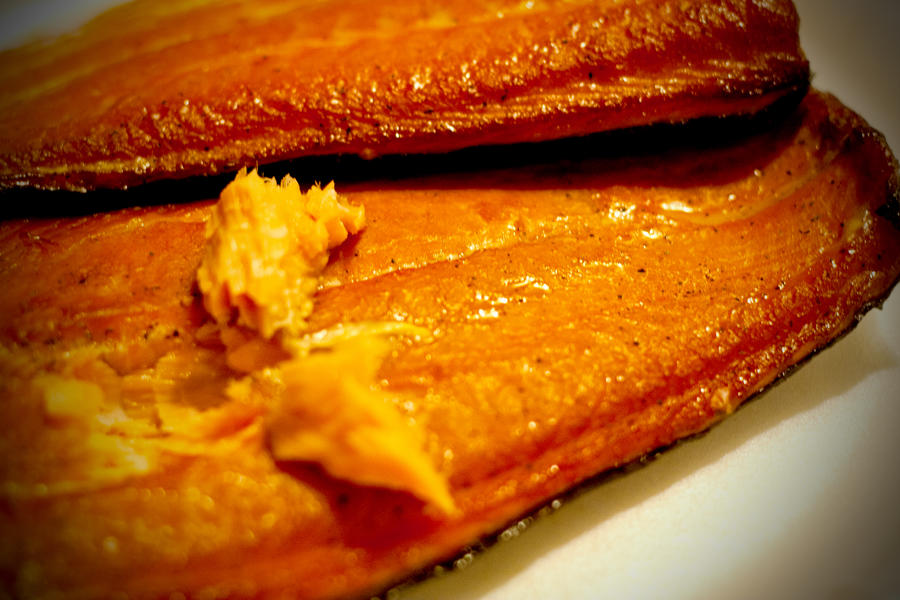 Salmon5.jpg