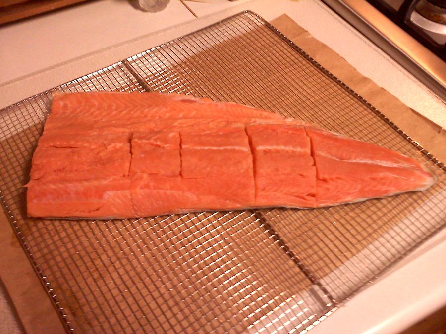 salmonbefore1.jpg