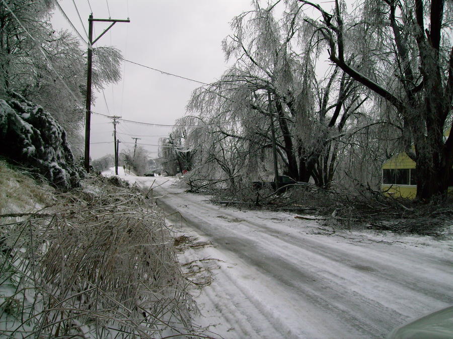 SANY0002.JPG