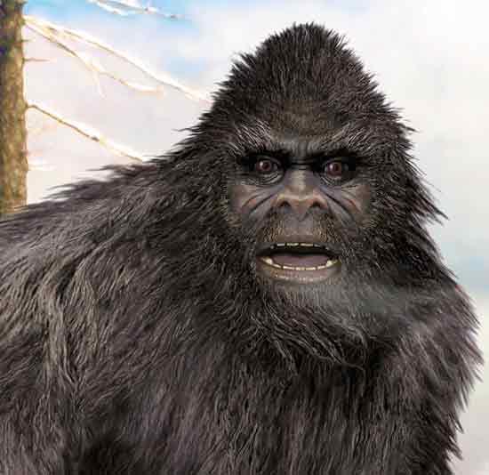 sasquatch.jpg