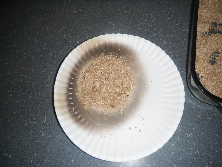 sawdust.jpg