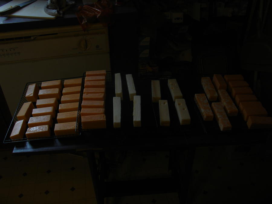 Scarbelly Memorial Smoke 005.JPG