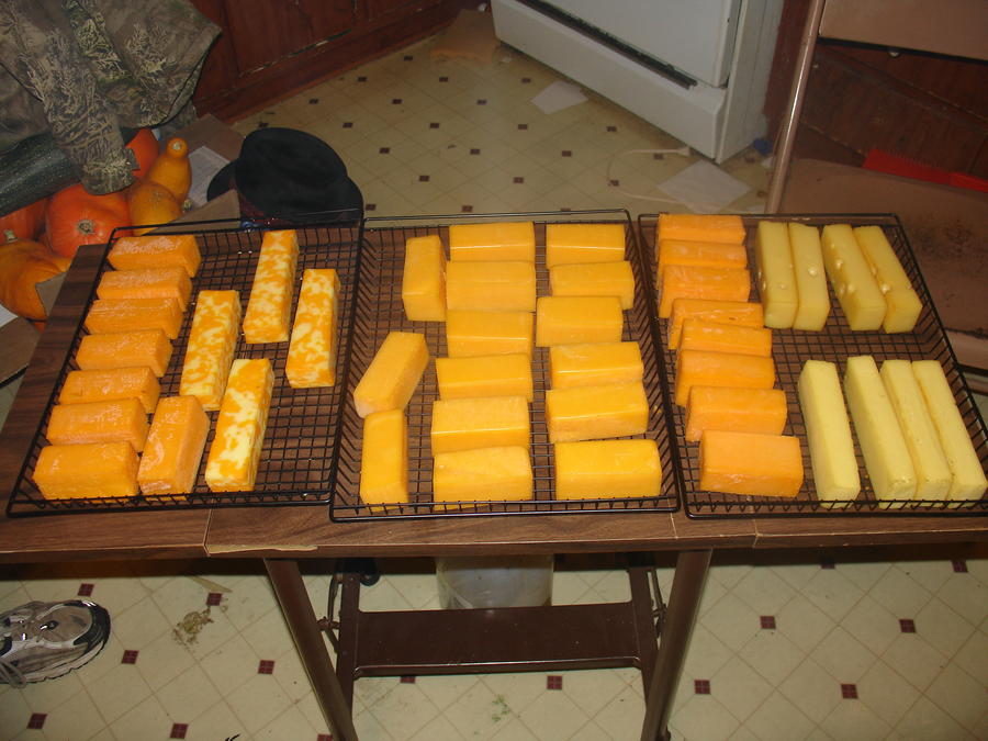 Scarbelly Memorial Smoke 016.JPG