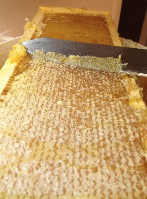 Screen Shot 2013-07-24 at 11.31.52 PM.jpg