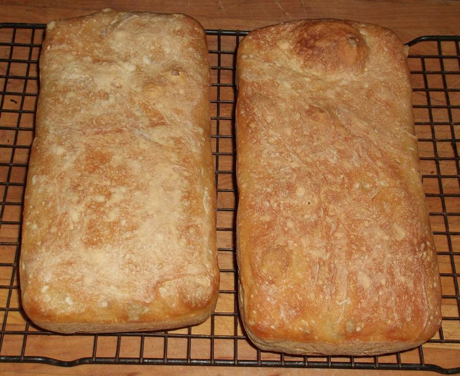 SD loaves out of the oven.jpg