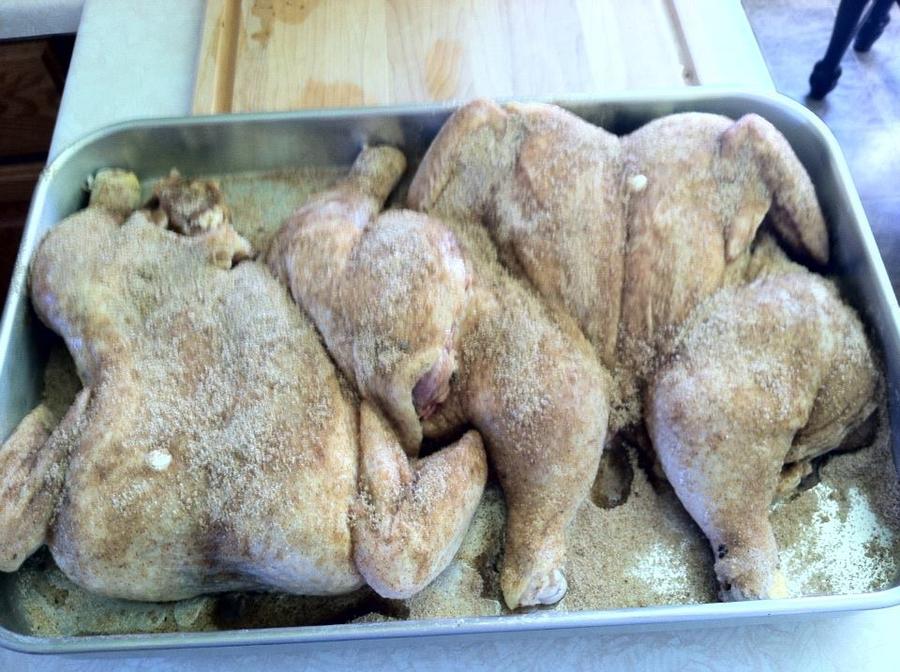 Seasoned Chickens.jpg