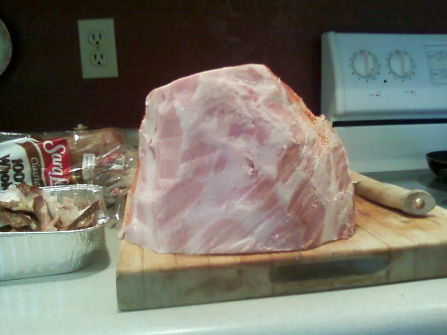 shank_trimmed.jpg