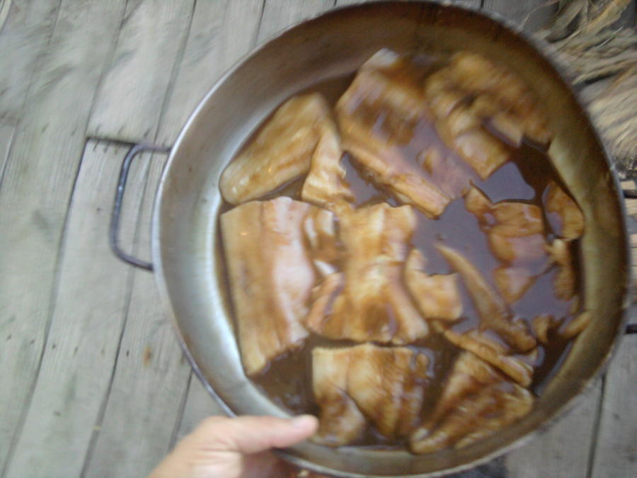 shark marinade.jpg