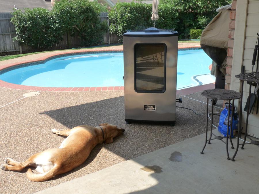 She can't wait....jpg