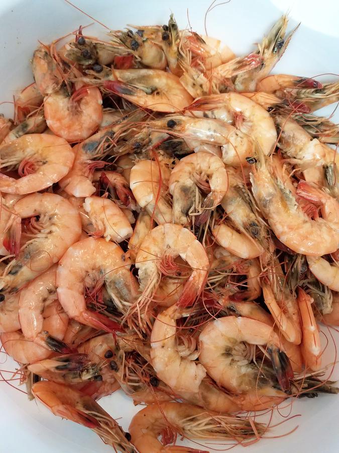 shrimp.jpg