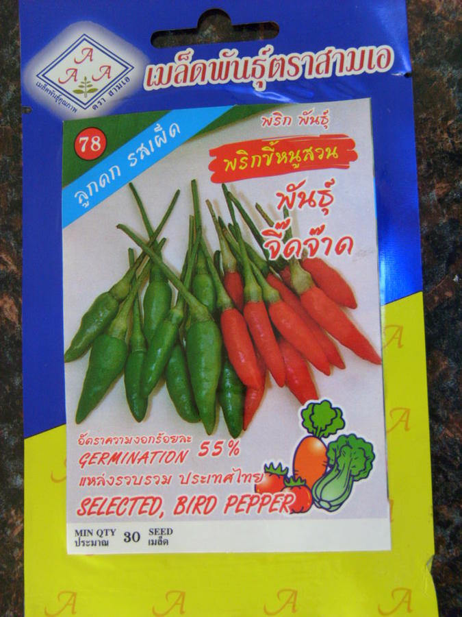 SI853142.JPG