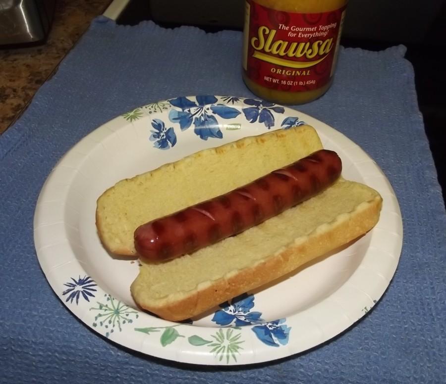 slawsadog.JPG