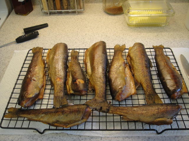 smoked fish, Battle creek buck video 006.JPG