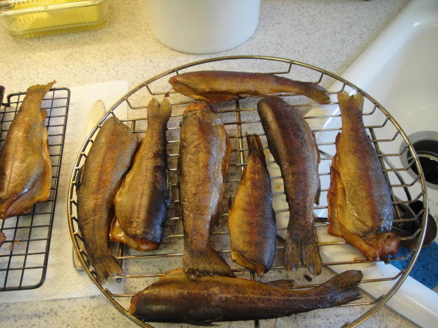smoked fish, Battle creek buck video 007.JPG