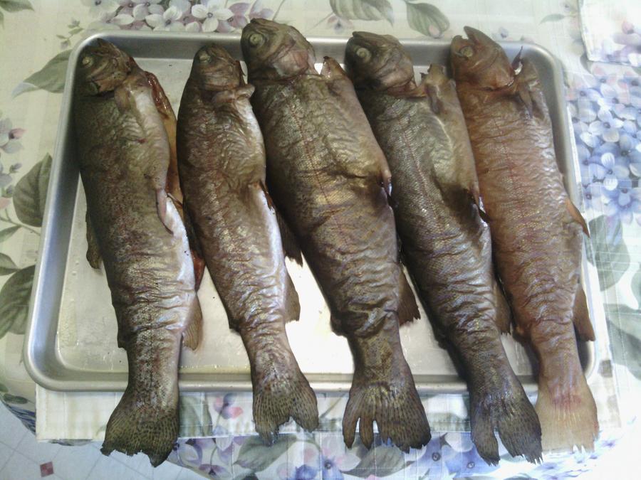 Smoked Fish.jpg