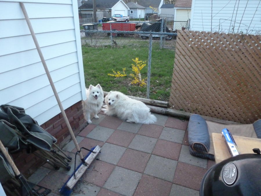 smoked fried chicken 1.jpg