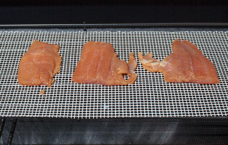 Smoked Trout (1 of 1).jpg