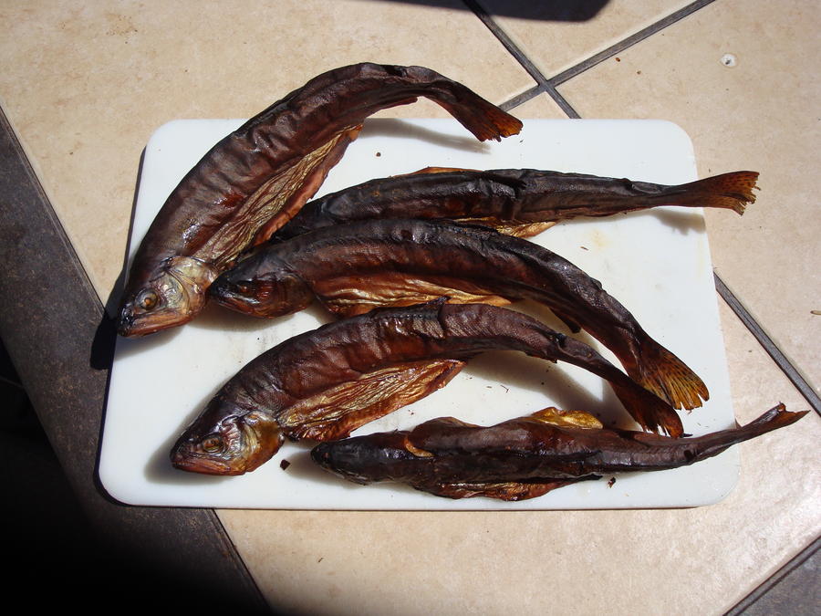 Smoked Trout.jpg