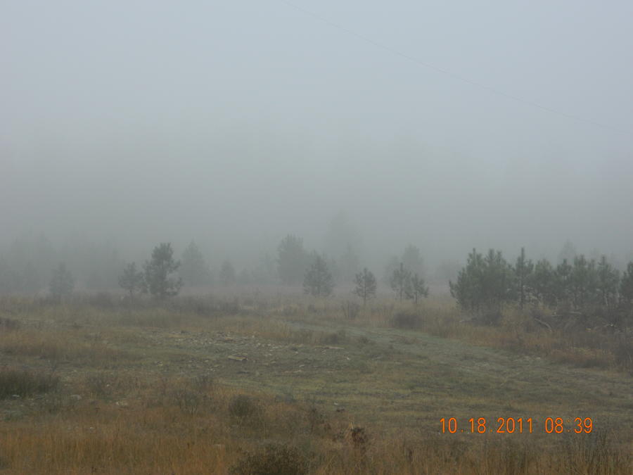 Smoken Cheese 029.jpg