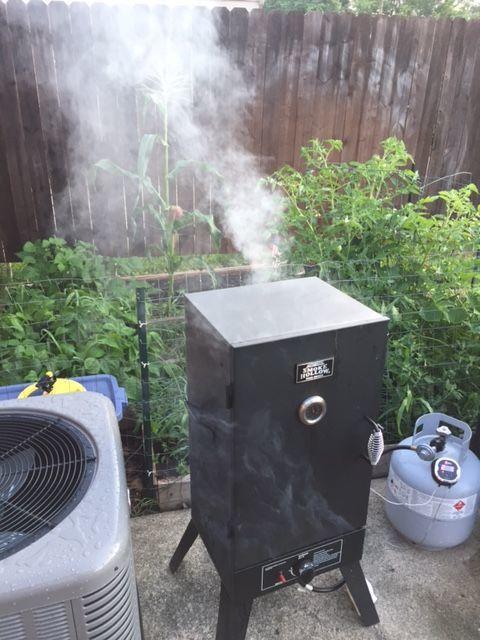 Smoker With Blue Smoke 3.JPG