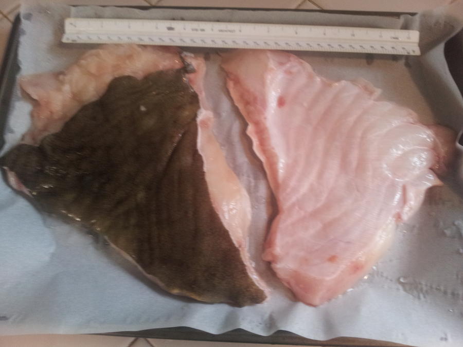 Smoking Halibut belly 01.jpg