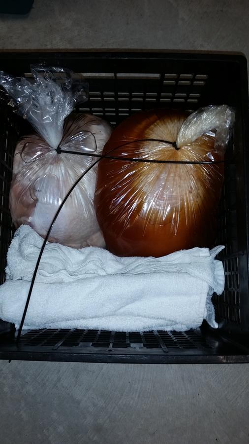 Smoking Meat 002.jpg