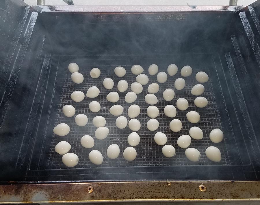 smpqegg2.jpg
