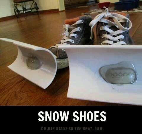 snow shoes.jpg