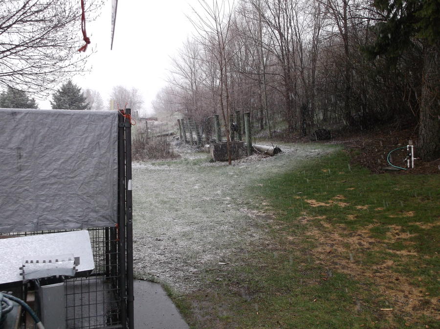 Snow this spring 001.JPG