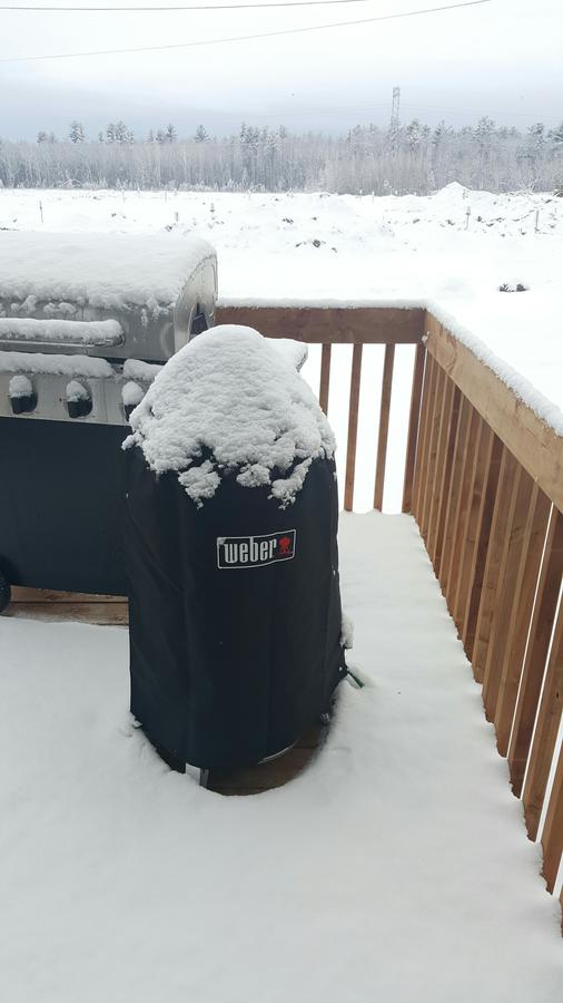 snowy.jpg