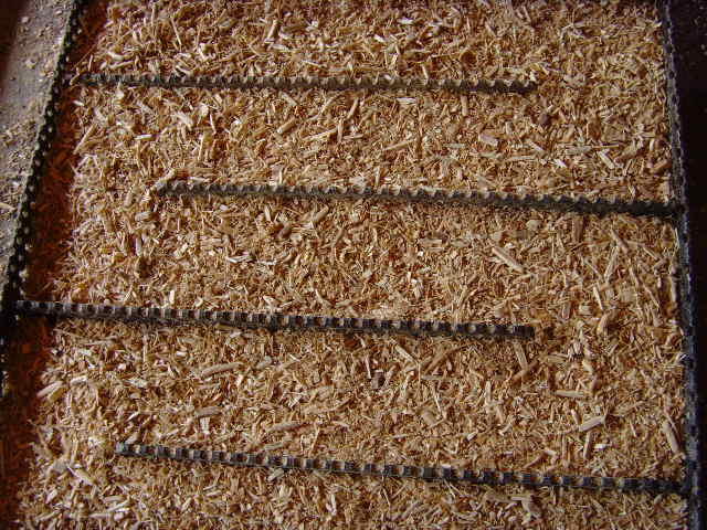 SNV30375.JPG