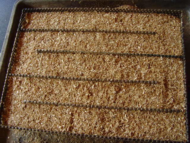 SNV30376.JPG