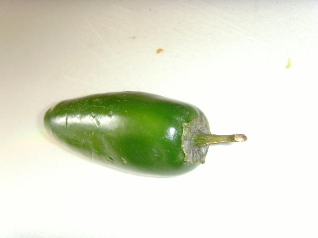 SNV30441.JPG