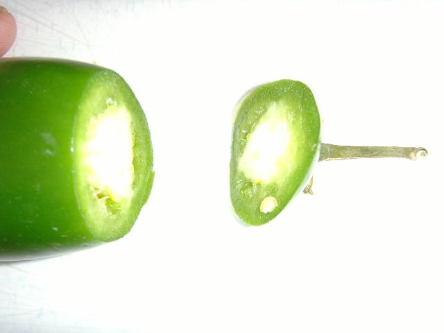 SNV30443.JPG