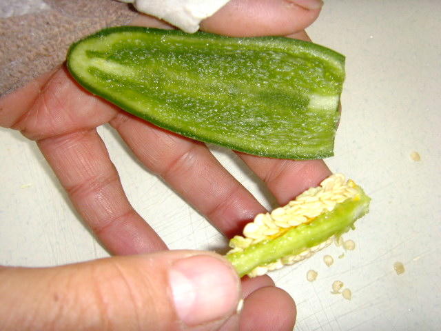 SNV30447.JPG