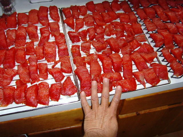 SNV30511.JPG