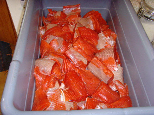 SNV30528.JPG