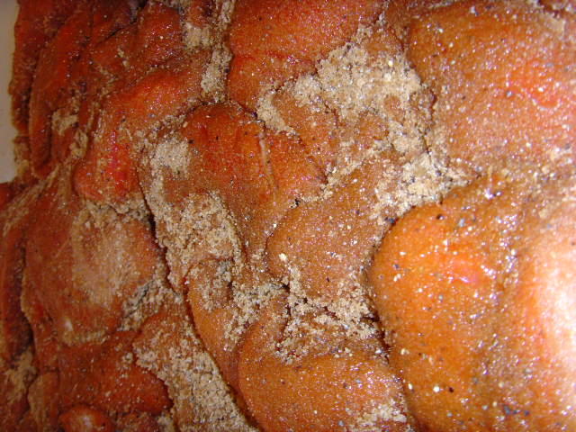 SNV30576.JPG