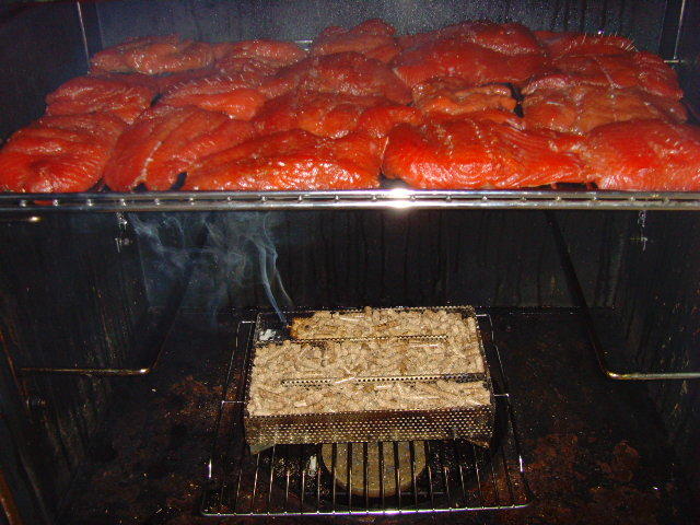 SNV30578.JPG