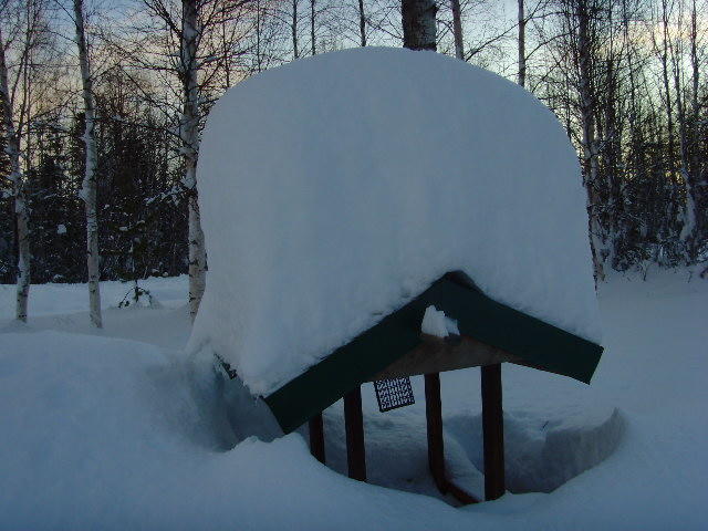 SNV30884.JPG