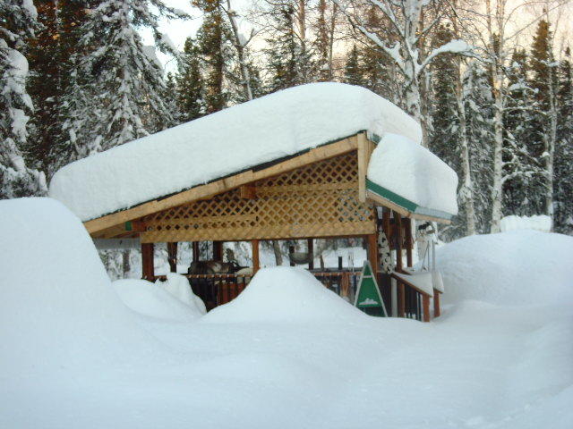 SNV30885.JPG