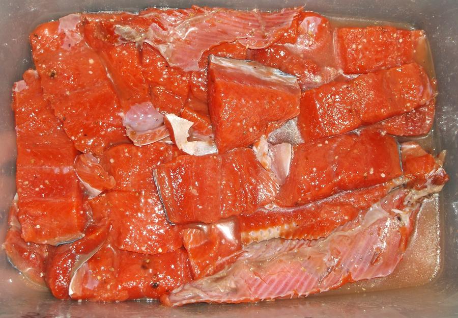 SOCKEYE 12-31-15 2.jpg