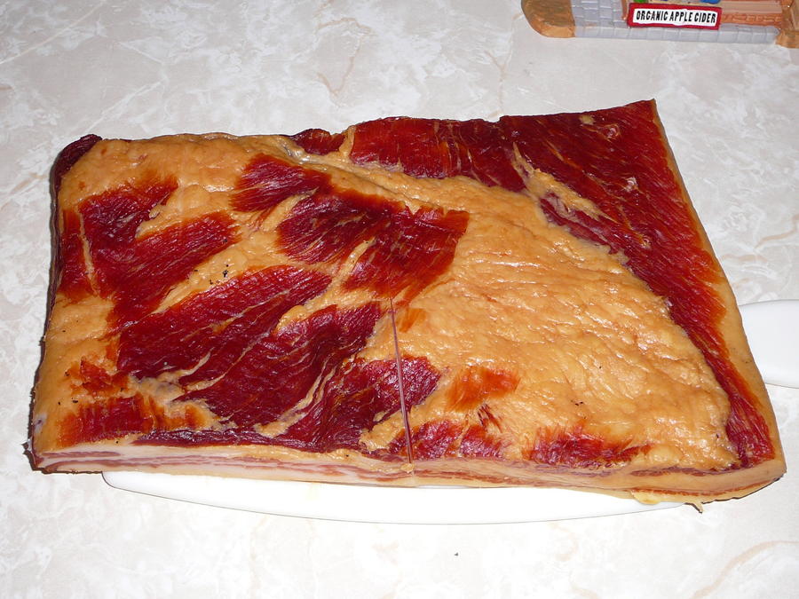 Sorghum Bacon.JPG