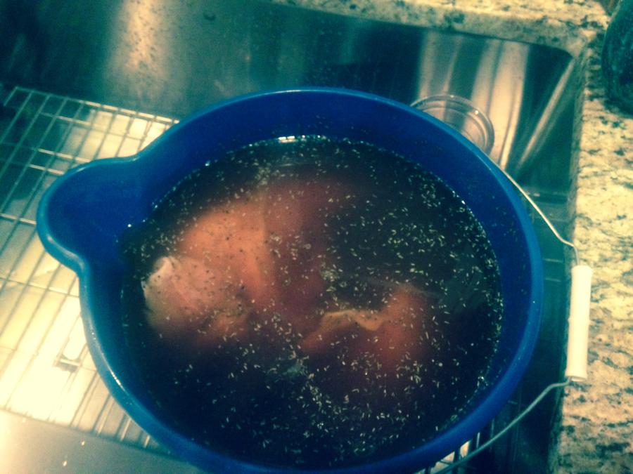 Spatchcocked Turkey Breasts in Brine.JPG