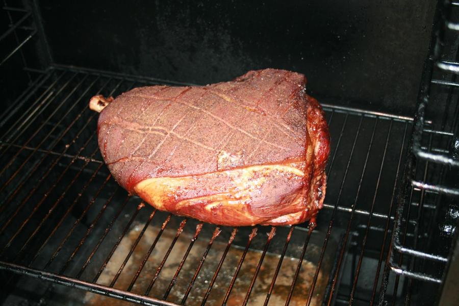 spring break 004.jpg