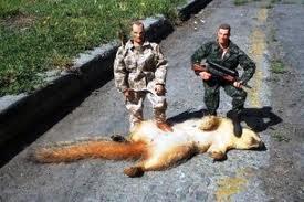 squirrel hunt.jpg