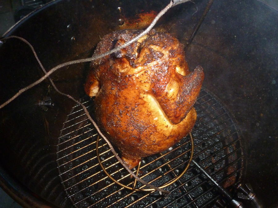 stand up chicken (2).jpg