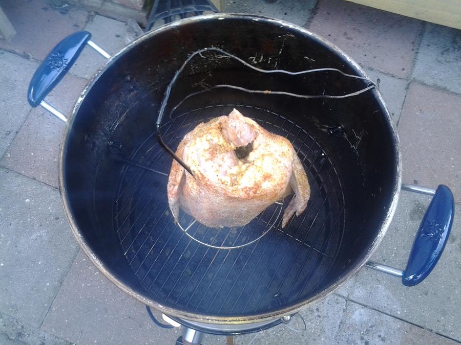 stand up chicken 3.jpg