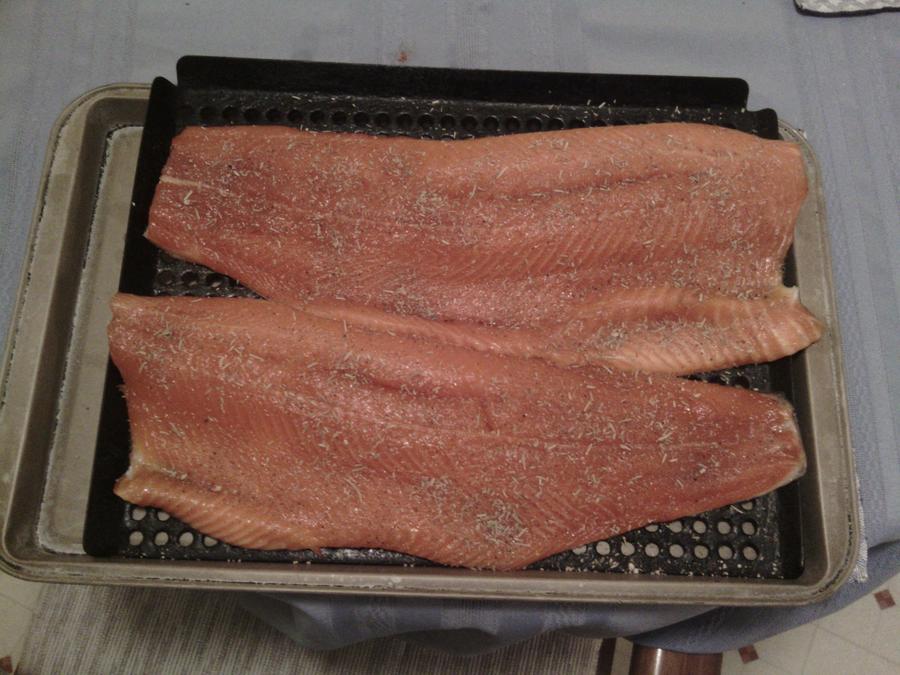 Steelhead Fillets.jpg